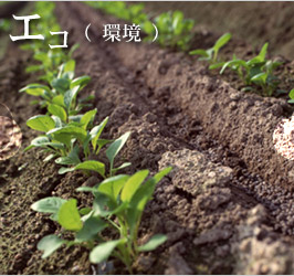 �G�R�i���j