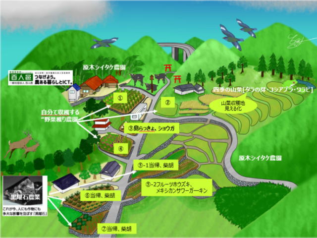 里山マップ