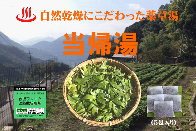 広島産の薬草・大和当帰(ヤマトトウキ)を使用した薬草湯 当帰(トウキ)の薬草風呂